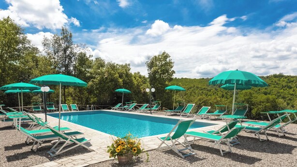 A swimming pool with green lounge chairs and umbrellas, surrounded by trees and a clear sky. - Tenuta della Selva - Castellaccio 7 (Monteroni d'Arbia)