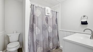 Shower, hair dryer