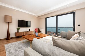 Living area - Bosphorus View with 2 Bedrooms-Elevator-Parking (İstanbul)
