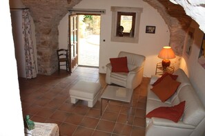 TV, fireplace - Over 1000 year old country house with pool near Uzes for 12 people, ideal for families (Foissac)