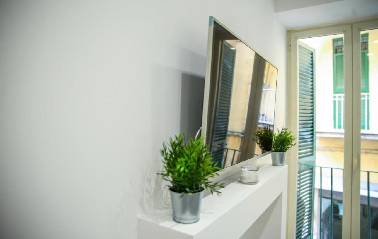 Un baño con un lavabo blanco, un espejo y dos plantas en macetas.