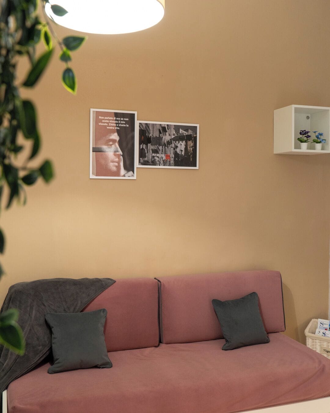 A living room with a pink sofa, two pillows, a white shelf with plants, and two framed pictures on the wall.