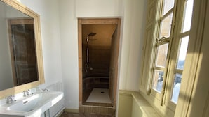 A bathroom with a sink, mirror, shower, and a window. - Pavillon de l'Orangerie room (La Ferté-Saint-Aubin)