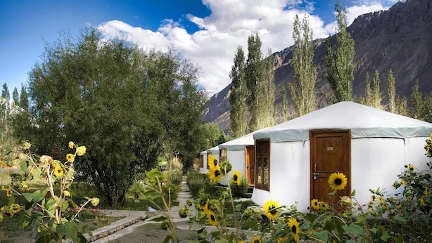 Yurts with wooden doors and windows, surrounded by greenery and mountains. - Nubra Sarai (Hunder)