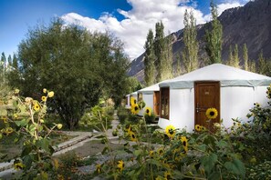 Property grounds - Nubra Sarai (Hunder)