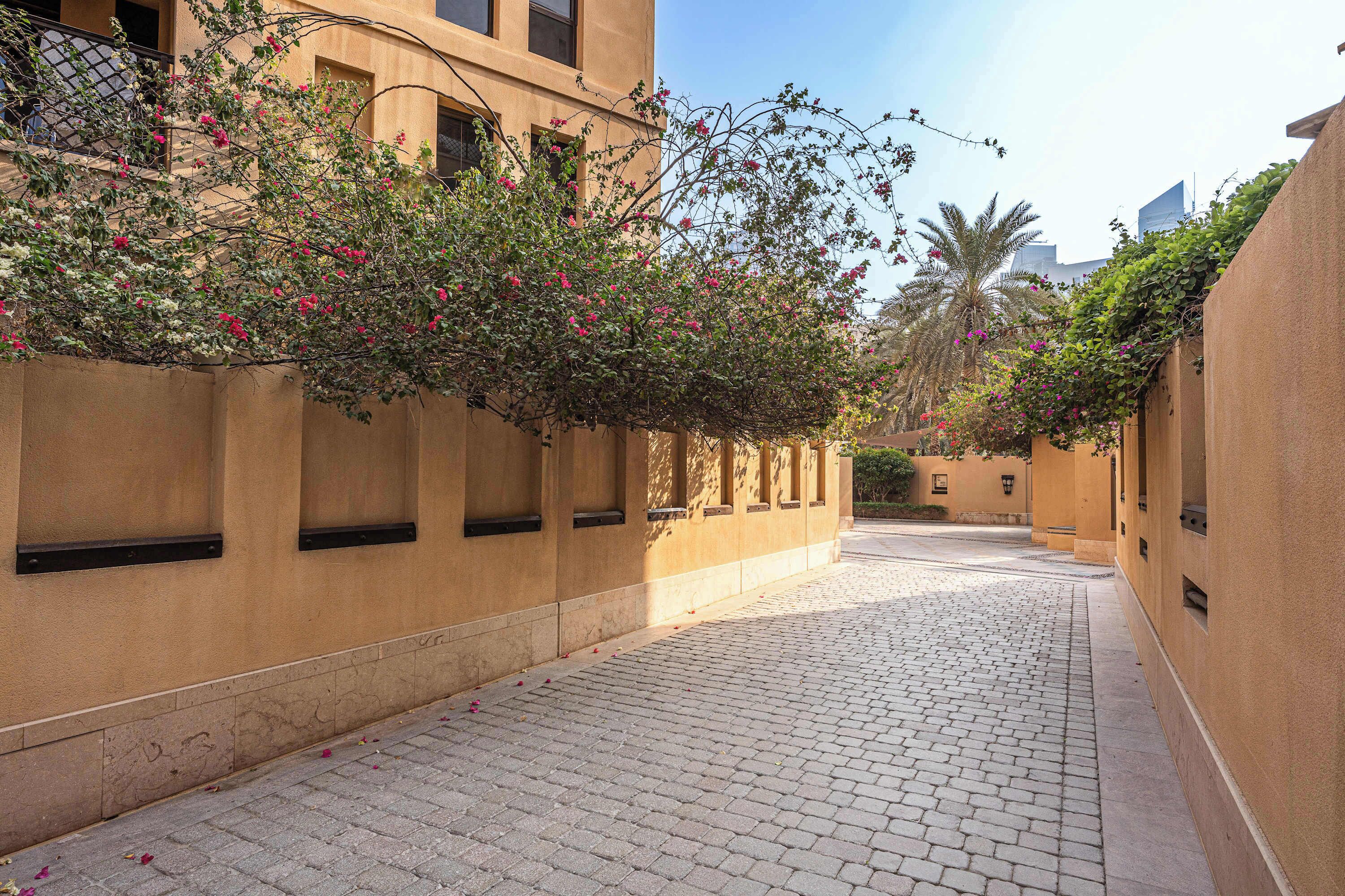 A paved alleyway with buildings on either side, featuring a series of windows and a clear sky.