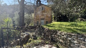 A rustic stone building surrounded by trees and greenery. - Relais Limone (Dolcedo)
