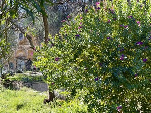 Property grounds - Casa Don Camillo (Dolcedo)