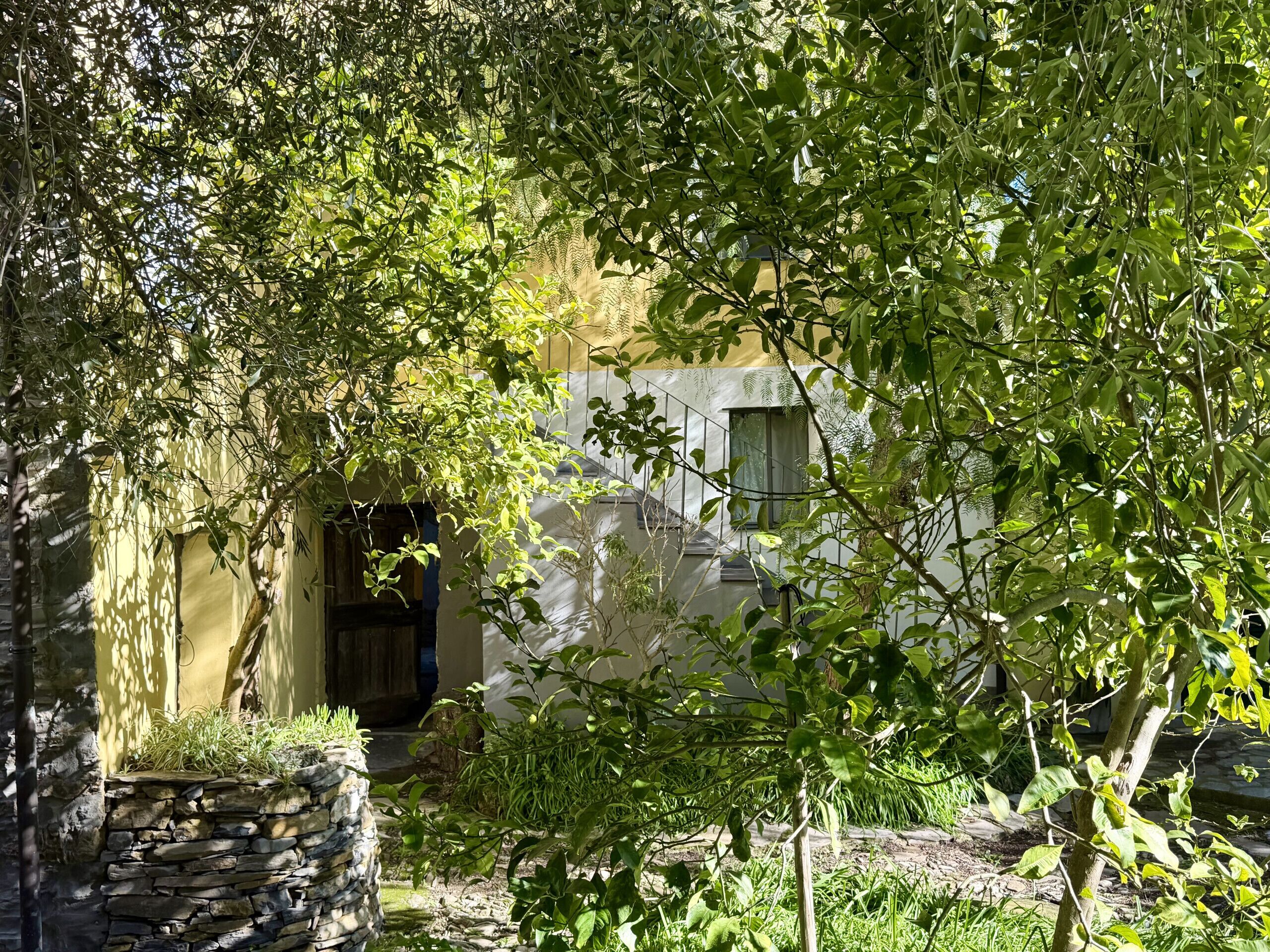 A stone wall with a small garden area, a building with a window, and a tree in the foreground.