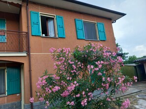 Ein Gebäude mit zwei Fenstern, einem Balkon mit Metallgeländer und einem blühenden Strauch im Vordergrund.