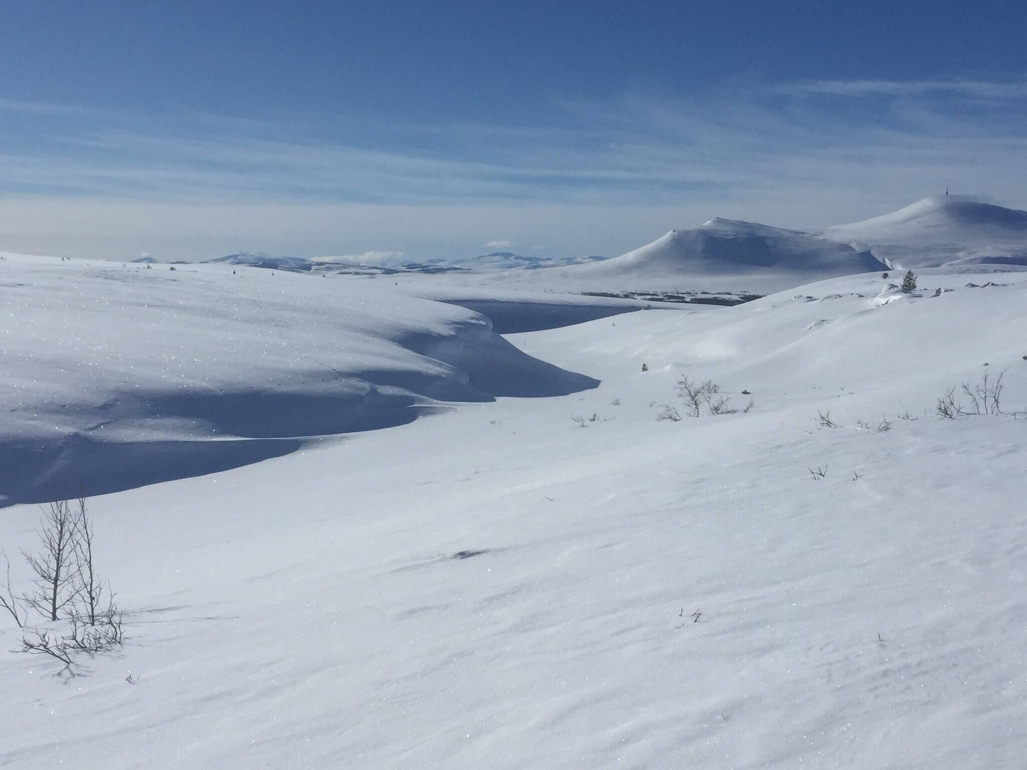 A snowy landscape with undulating terrain and sparse vegetation.