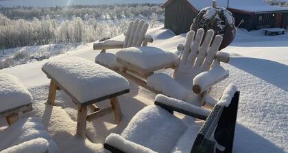 Live in the Realm of the Musk Oxen on Dovrefjell
