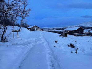 Cabin, 2 Bedrooms, Accessible, Balcony | Exterior - Live in the Realm of the Musk Oxen on Dovrefjell (Dovre)