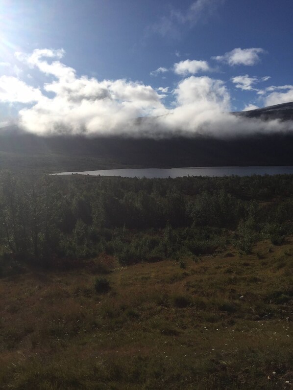 A natural landscape with a lake, forested area, and a mountain in the background. - Live in the Realm of the Musk Oxen on Dovrefjell (Dovre)