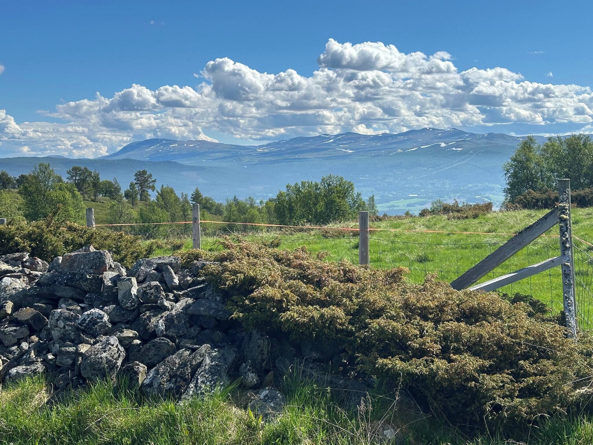 Paisaje rural con muro de piedra, campo cubierto de hierba y cerca de madera.