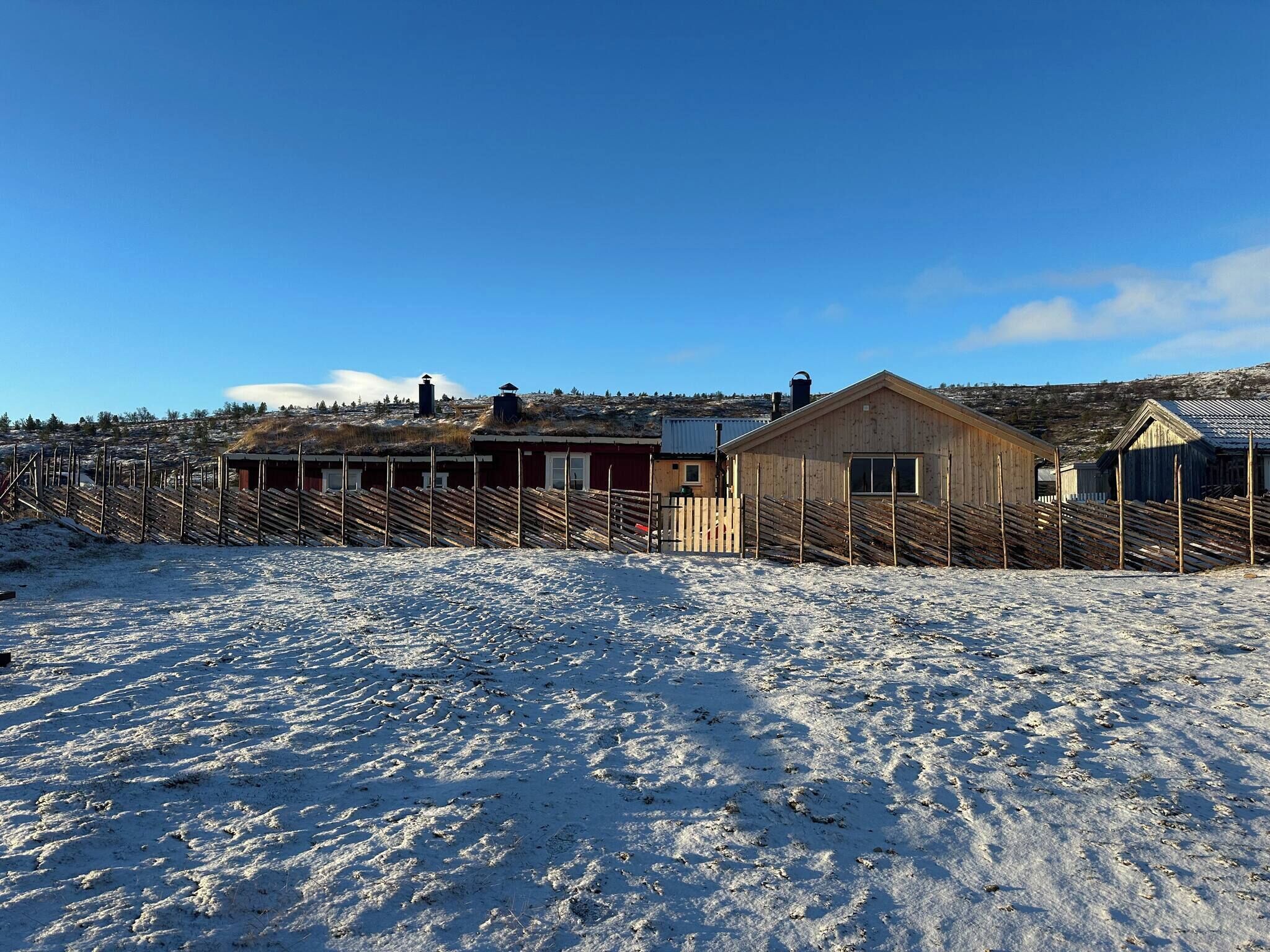 Eksteriør