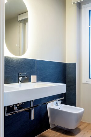 Shower, hair dryer, bidet, towels