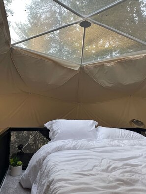 Ein Zelt mit einem Bett, einem kleinen Tisch und einer Topfpflanze.