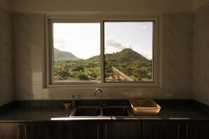 Deluxe Apartment, City View | Private kitchen | Fridge, microwave, electric kettle, cookware/dishes/utensils