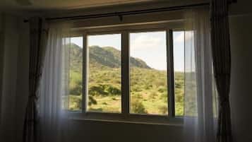 Deluxe appartement, uitzicht op stad | Individueel gedecoreerd, individueel gemeubileerd, gratis wifi