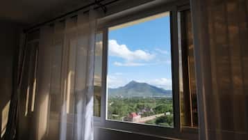 Deluxe appartement, uitzicht op stad | Individueel gedecoreerd, individueel gemeubileerd, gratis wifi