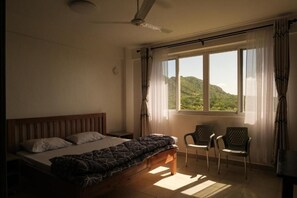 Deluxe Apartment, City View