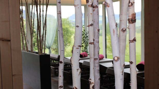 A room with birch tree branches, a window with a view of greenery, and black plastic chairs. - Sontheims Naturhotel & Spa GmbH&Co.KG (Maierhöfen)