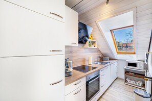 Kühlschrank, Mikrowelle, Herdplatte, Geschirrspüler