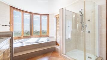 Shower, hair dryer, towels