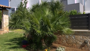 A well-maintained garden with a palm tree, a stone wall, and a variety of flowers. - Villa Amorata - Schinias Private Garden Retreat (Marathon)