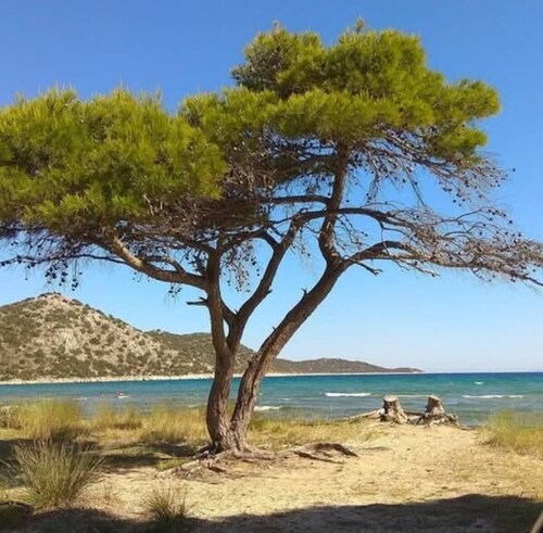 Villa Amorata - Schinias Private Garden Retreat