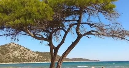 Villa Amorata - Schinias Private Garden Retreat