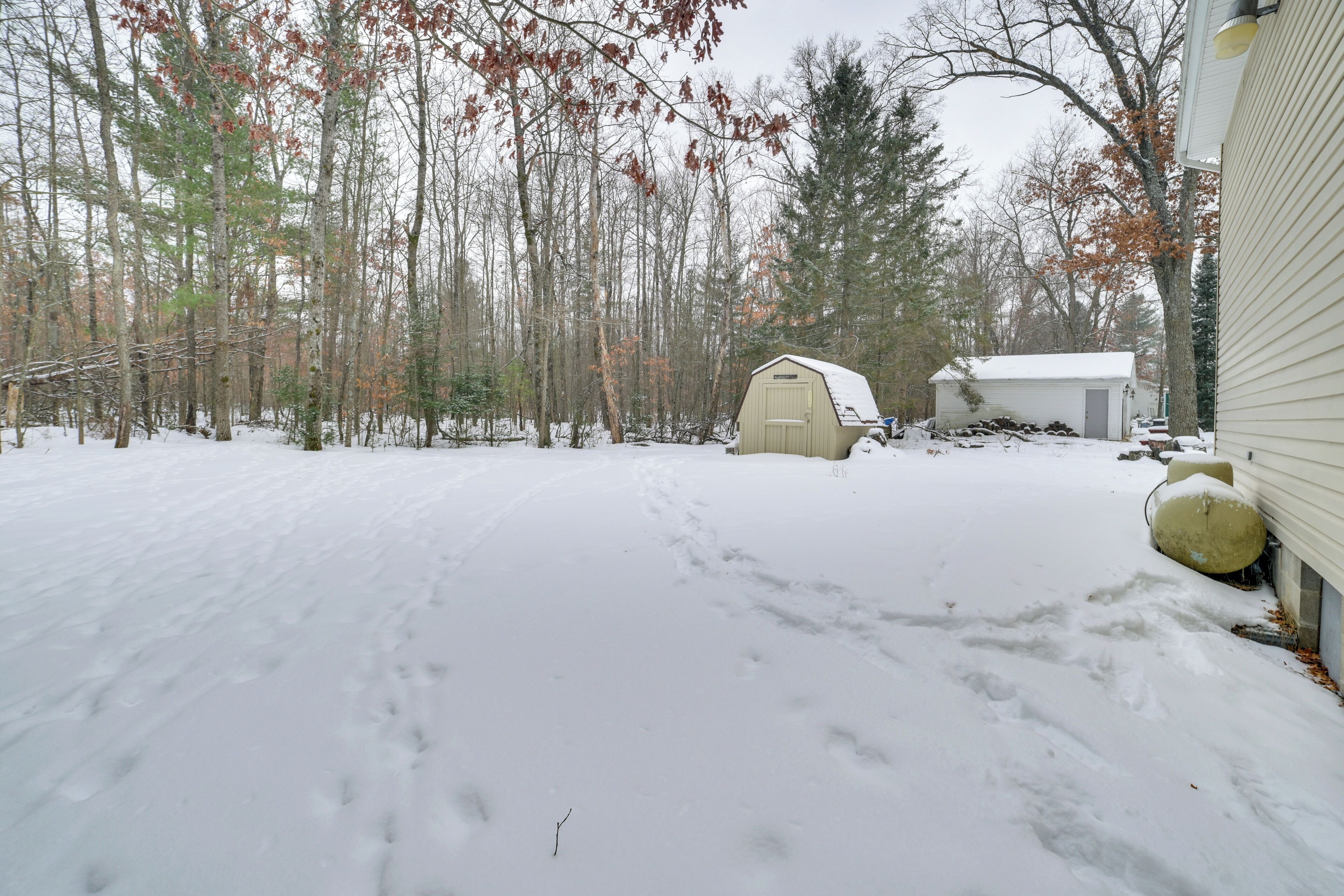 A snow-covered yard with a shed and a house.