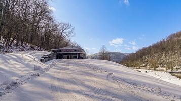 A snow-covered road leading to a building with a stone facade and a garage.