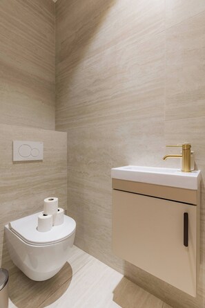 Regadera, secadora de cabello, shampoo 