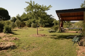Un espacio al aire libre con césped, un árbol, una banca y una estructura cubierta.
