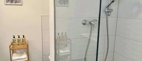 Ducha, secador de pelo, shampoo