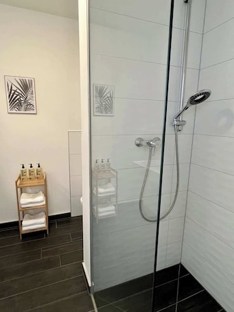 Shower, hair dryer, shampoo. Wanderlust Petrisberg - Studio 53