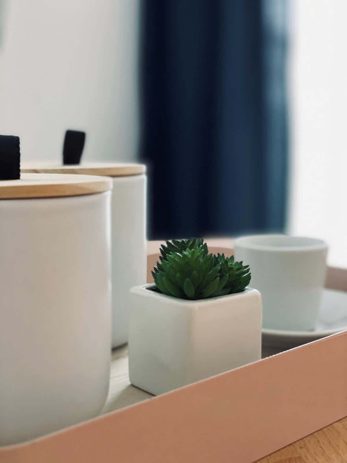 Een modern interieur met witte, cilindervormige bakken met houten deksels, een klein vetplantje en een witte kop op een dienblad.