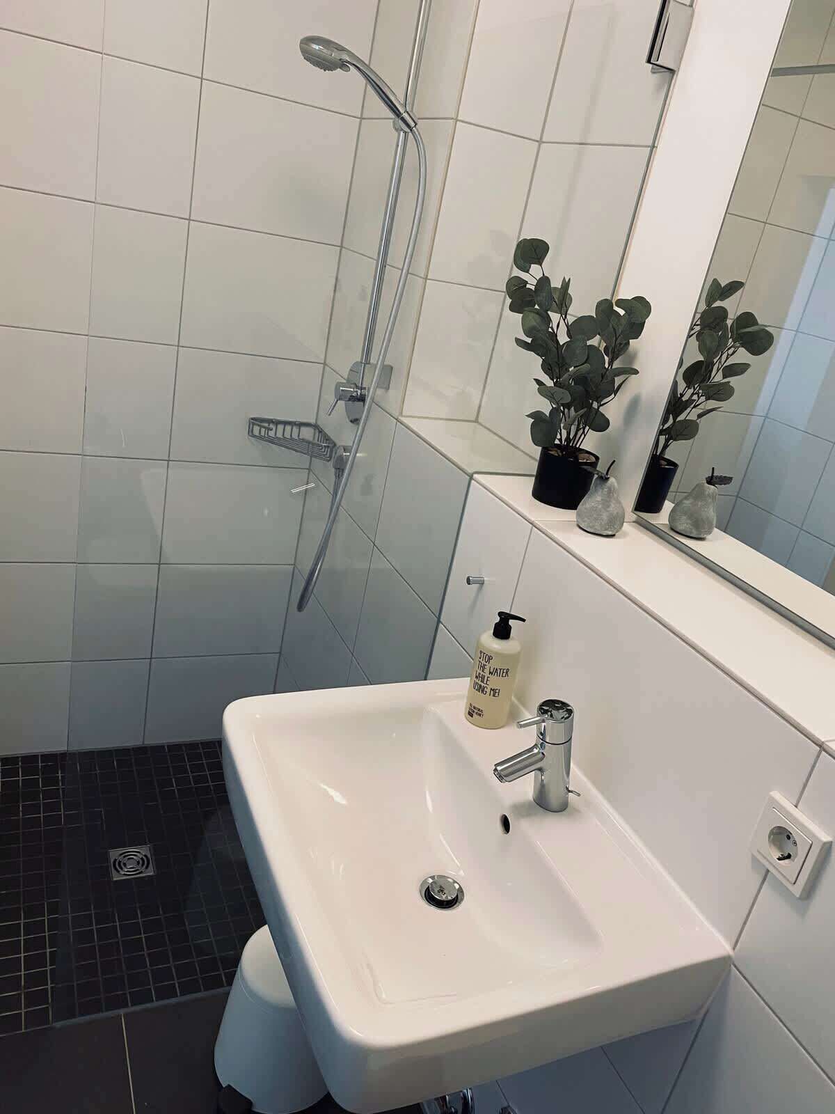A bathroom with a white sink, a glass shower enclosure, a potted plant, and a mirror above the sink.