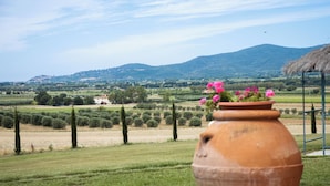 A terracotta pot with flowers in a rural landscape with fields, trees, and a mountain in the background. - Agriturismo il Montoto - Nature & Relax (Castiglione della Pescaia)