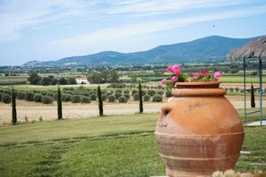 A terracotta pot with flowers in a rural landscape with fields, trees, and a mountain in the background. - Agriturismo il Montoto - Nature & Relax (Castiglione della Pescaia)