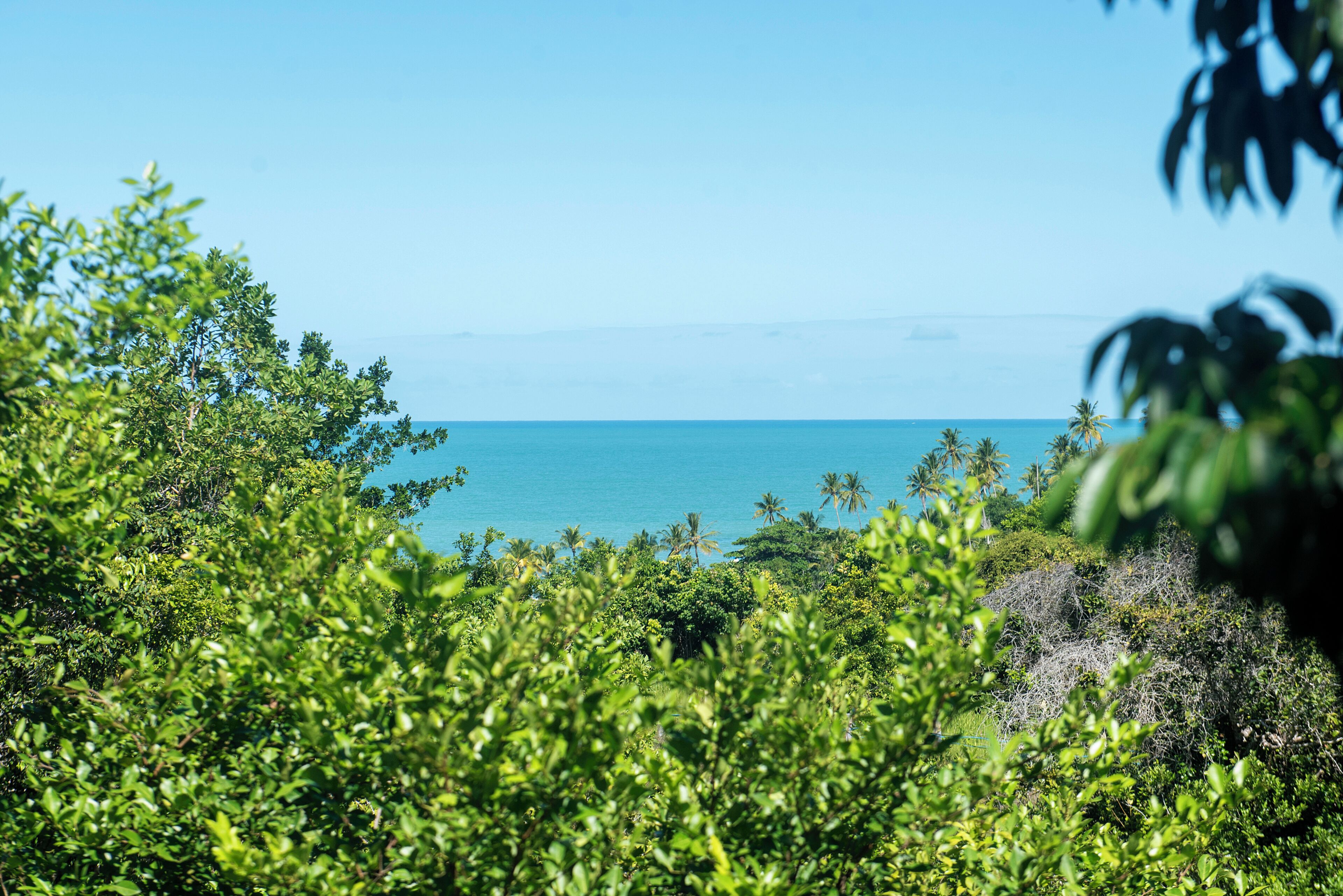 Un paisaje tropical con vegetación exuberante y vista al océano.