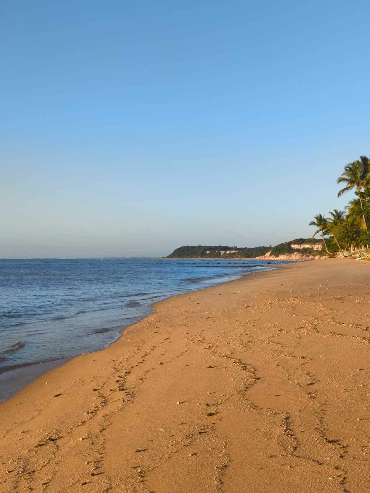 A beach with a clear sky, calm sea, and a distant hill with vegetation.