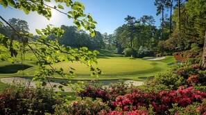 En golfbana med en välskött fairway, sandbunkrar och frodig grönska.