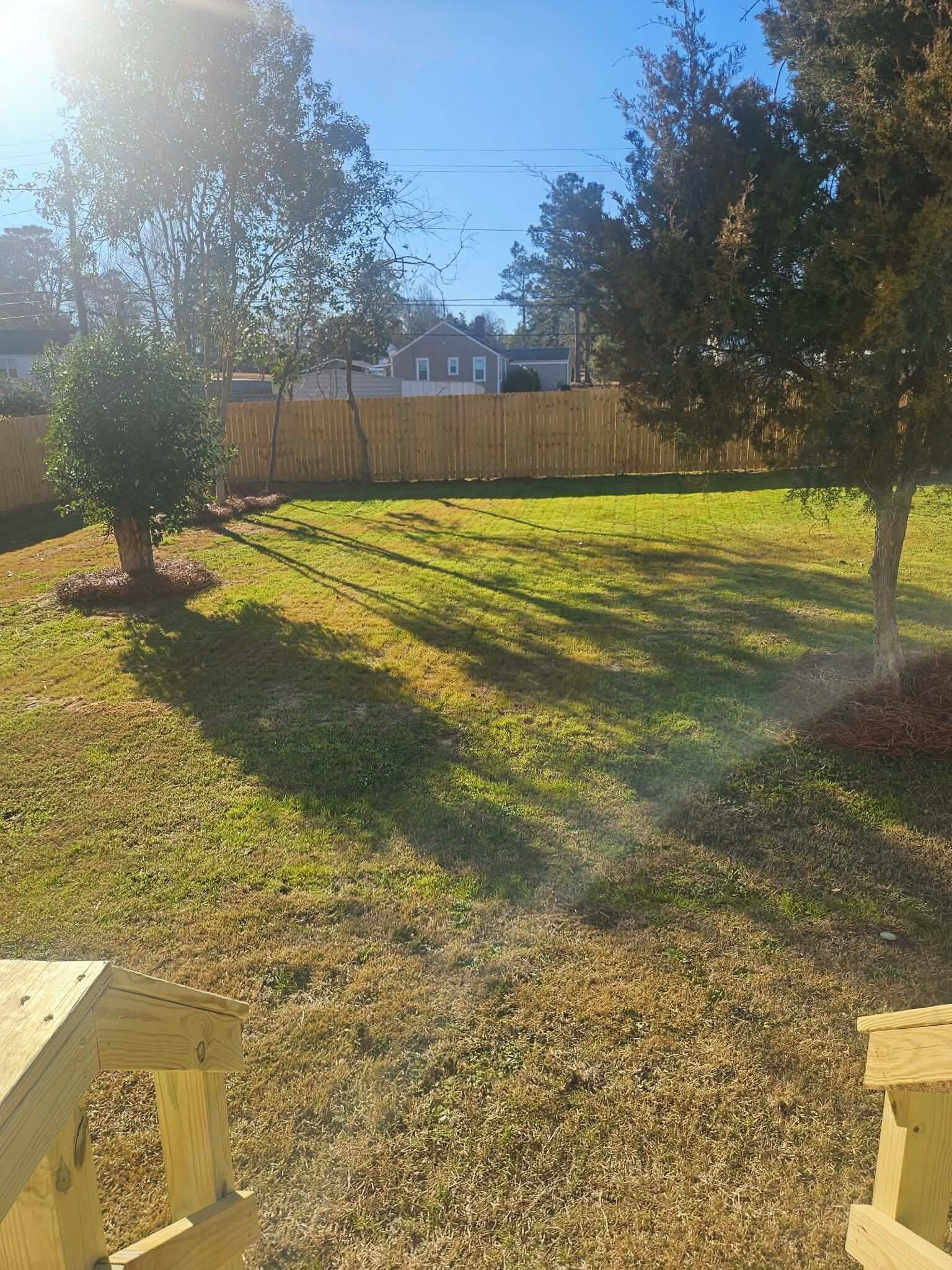 A backyard with a wooden fence, a small tree, and a lawn.
