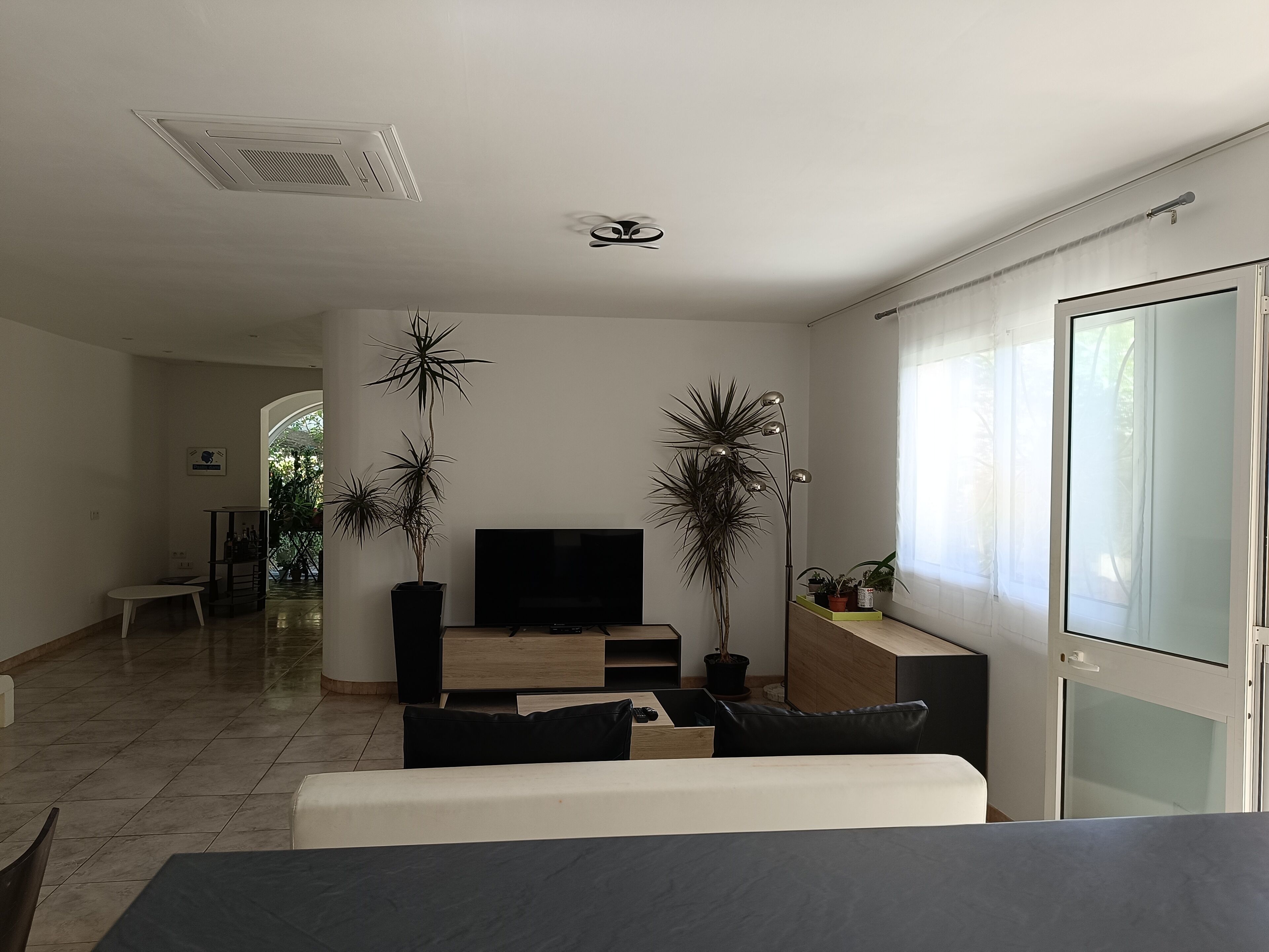 Een moderne woonkamer met een flatscreen televisie, een bank, een bijzettafeltje en twee potplanten.