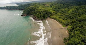 An aerial view of a coastal area with a beach, dense forest, and a body of water.