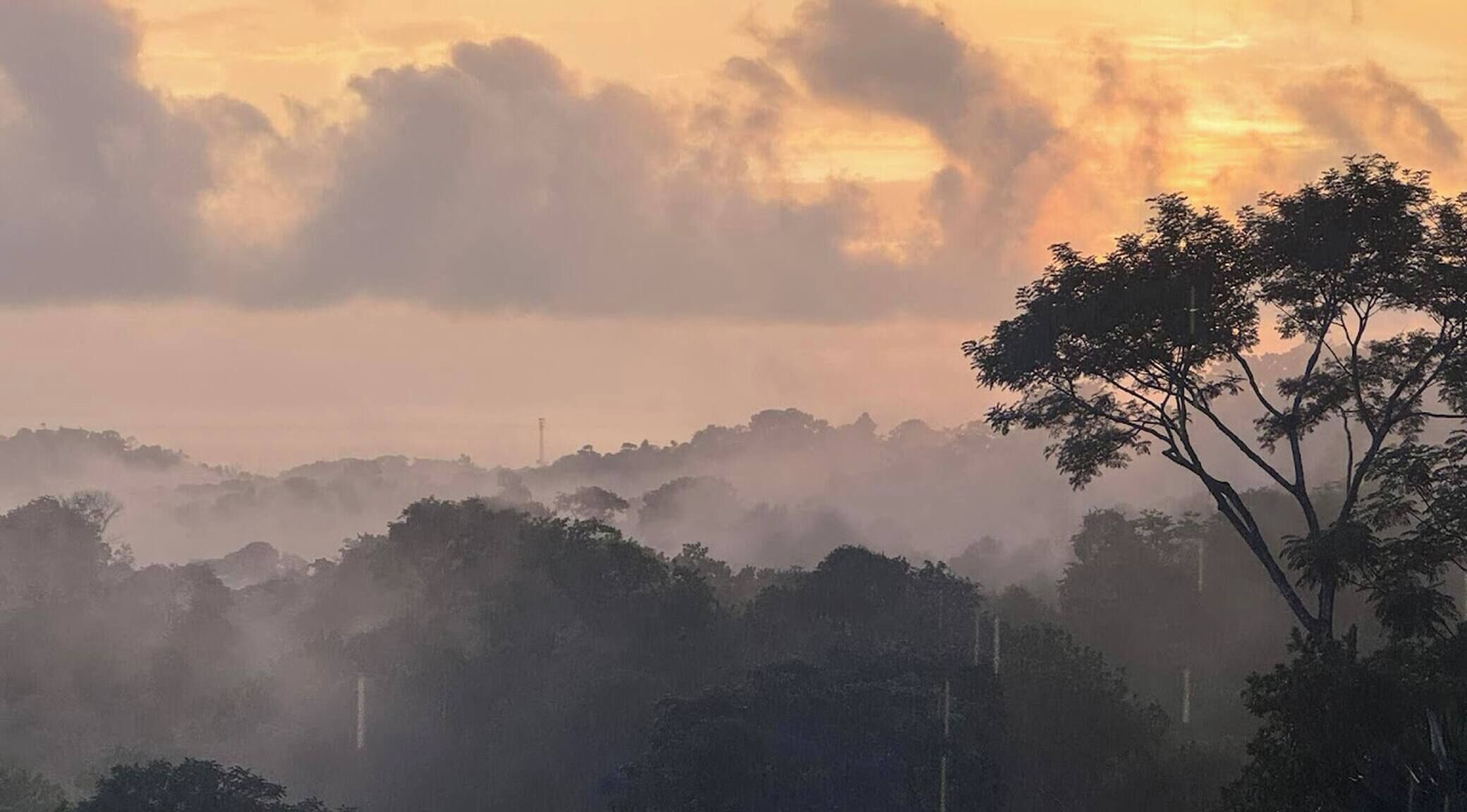 Room, 1 Bedroom, Accessible, Patio | Miscellaneous