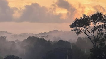 Room, 1 Bedroom, Accessible, Patio | Miscellaneous